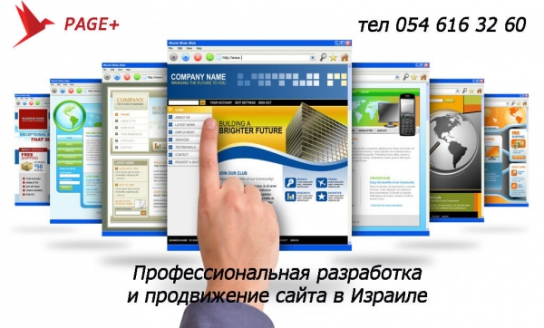 Создание и продвижение сайта в Израиле