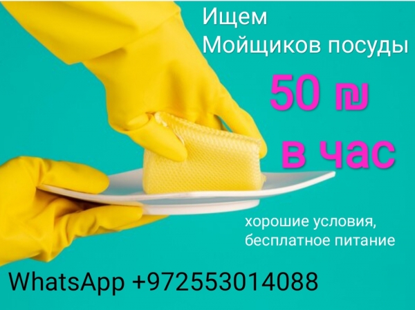 Мойка посуды для мужчин, 50 шек в час!