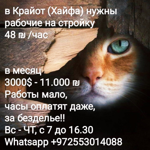 в Крайот (Хайфа) нужны разнорабочие