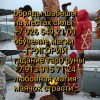 Высшая церемониальная магия