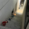 В аренду студия на Kadesh St 9, Netanya за 3500 ₪