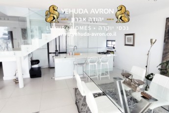Продается дуплекс с 6 комнатами в Тель-Авиве