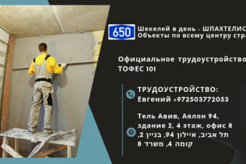 Шпахтелисты 650 шек в день