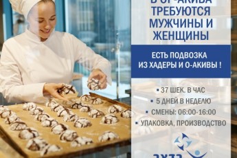 ВАКАНСИЯ: шоколадная фабрика в Ор-Акиве