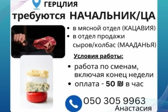 Герцлия. Требуются начальники.