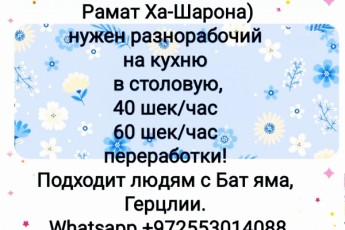 Хорошая работа в столовой мужчине