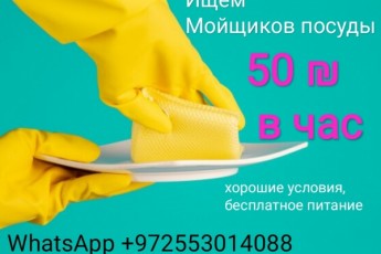 Мойка посуды для мужчин, 50 шек в час!