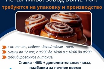 Смены по 12 часов. Петах Тиква.
