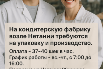 Кондитерская фабрика. Первые смены. Подвозка!