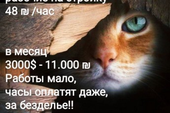 Нужен рабочий - помощник на стройку, не трудно!