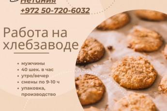 Хлебозавод НЕТАНИЯ