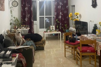 Сдам 2, 5-комнатную на Olei HaGardom, Netanya за 3700 ₪